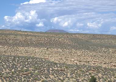 Desert Landscape with Distant Mountain