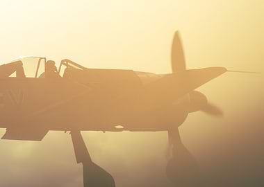 Vintage Airplane in Golden Light