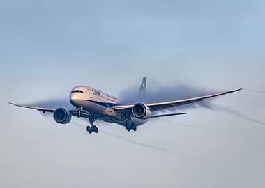 ANA Boeing 787 Dreamliner Landing in Vapor sky