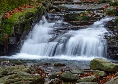 Cascading Waterfall in Forest Setting