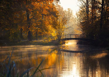 Autumnal Bridge Over Misty Lake
