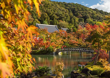 Japanese Garden in Autumn