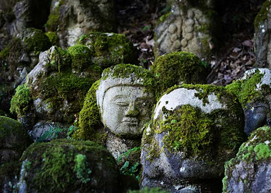 Moss-covered Jizo statues in Japan