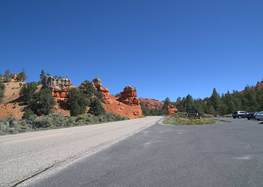 Dixie National Forest Road Landscape