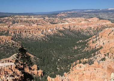 Bryce Canyon National Park Landscape