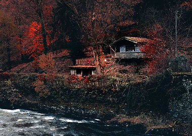 Rustic Cabin by River in Autumn