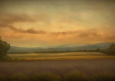 Golden Field Landscape