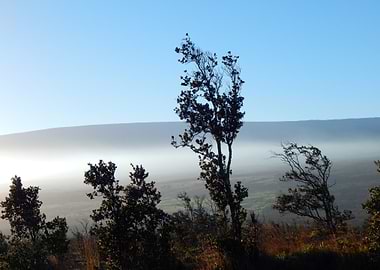 Wind swept clouds at eye level.