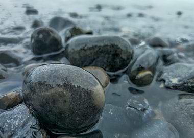 Wet Rocks on a Shoreline