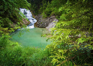 Waterfall and Pool in Lush Forest