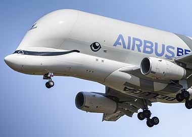 Airbus Beluga XL aircraft in flight