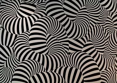 Black and White Striped Worms