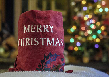 Merry Christmas Gift Bag