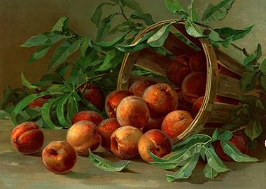 Peaches in a Basket Still Life