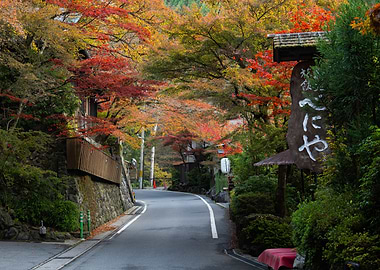 Autumn Road in Japan