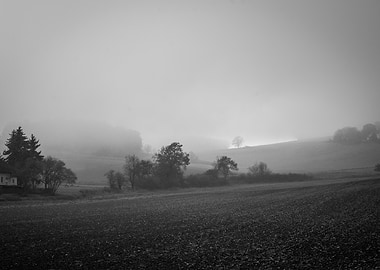 Misty Monochrome Landscape
