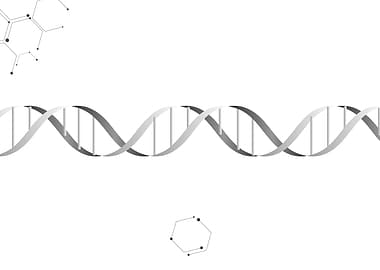 DNA Strand and Molecular Structures