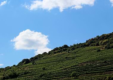 Green hillside under a blue sky