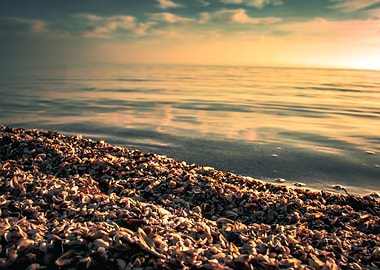 Seashell Beach at Sunset
