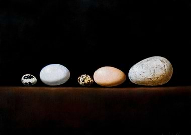 Still Life with Eggs