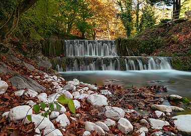 Waterfall in Autumn Forest