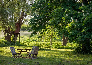 Tranquil Garden Scene with Treehouse