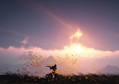 Silhouette in a field at sunset