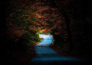 Autumn road less traveled