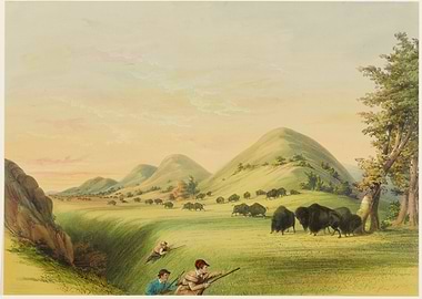george catlin Buffalo Hunt Landscape Painting