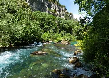 River flowing through a lush forest