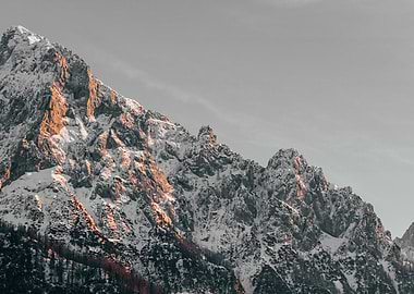 Sunlight Gratitude and Balance