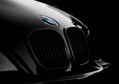 Sleek Black BMW Front Grill