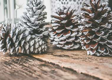 Pine Cones on Wooden Surface