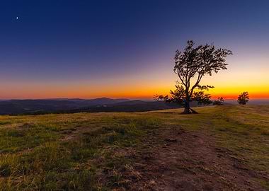 Sunset Landscape with Tree and Moon, Beskid Mountains