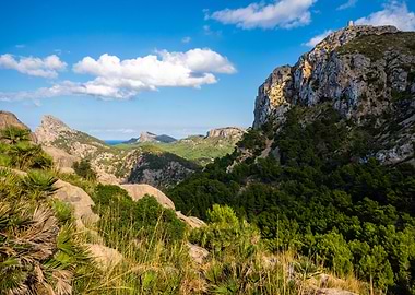 Formentor Peninsula: Green Mountains & Historic Watchtower, Mallorca
