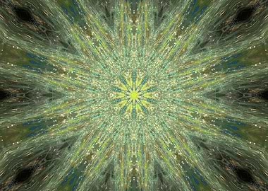 Into The Thick of It