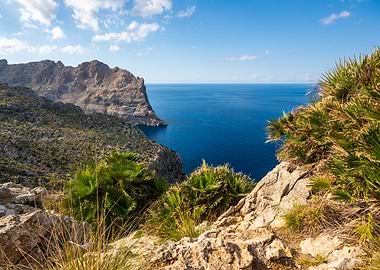 Formentor View: Mediterranean Bushland and Deep Blue Cliffs