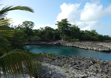 Tropical Cove with Turquoise Water