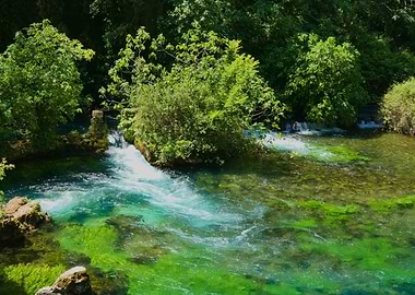 River flowing through lush greenery