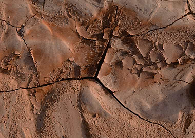 Cracked Earth Texture