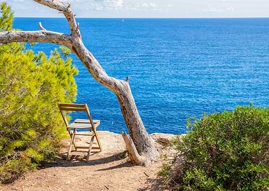 Seaside Chair Under Tree Mallorca Sea View