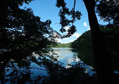 Lake View Through Trees
