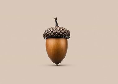 Isolated Acorn on Beige Background