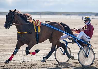 Horse Racing on the Beach