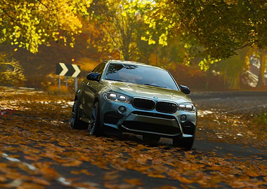 BMW X6M on Autumn Road