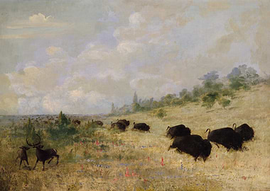 Bison and Deer in a Landscape by george catlin