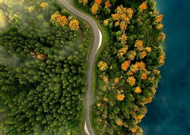 Aerial View of Forest Road and Lake