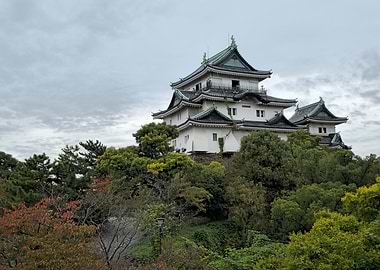 Japanese Castle In Fall