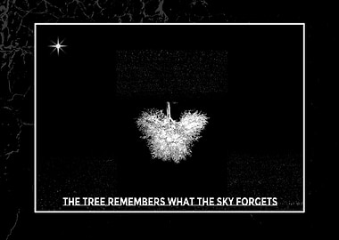 The Tree Remembers What the Sky Forgets