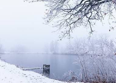 Winter Lake Scene with Frosty Trees
